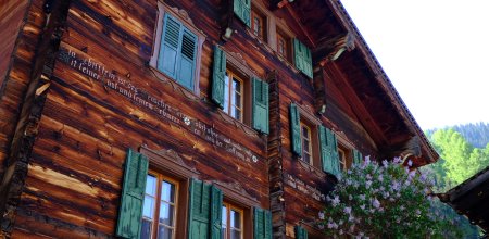 Walliser Holzhaus, Fassade